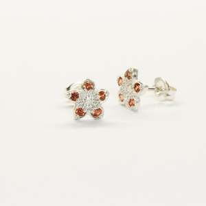 Scarlet pimpernel wildflower studs