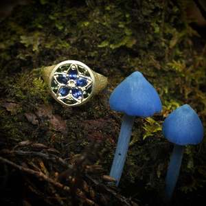 Kaleidoscope Collection: Werewere kōkako signet ring
