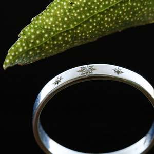 Midwinter Collection: Starry starry ngaio ring
