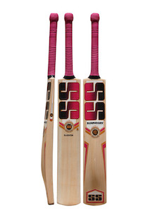 SS Gladiator Kashmir Willow Cricket Bat Adi Sports