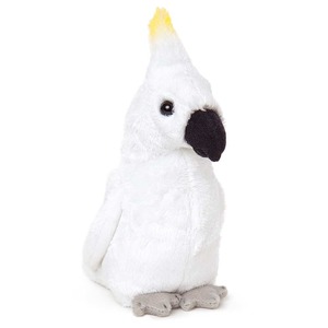 Wild Camille Cockatoo