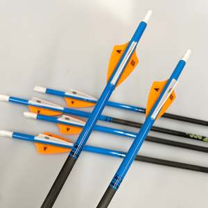 Arrrows: Victory VAP Junior Target Arrow - Pre Made