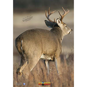 Nice Target Deer Quartering Away Right