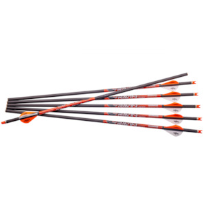 Ravin: Ravin Crossbow Bolts .003 6pk