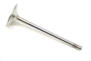 Products: Exhaust valve