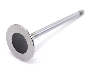 Products: Engine cylinder head exhaust valve