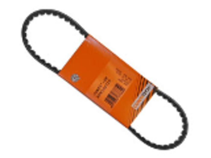 Alternator Belt