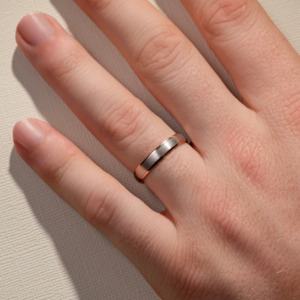 Mens Wedding Bands: 4.00MM Two Tone Low Half Round w/ a Brushed Centre Polished Edges Wedding Ring