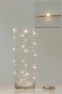 LED Seed Light 2m Warm White - A Floral Affair