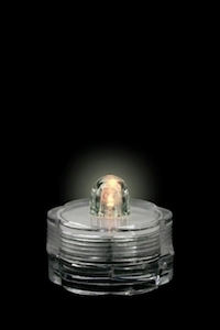 Submersible Led Single Warm White - A Floral Affair