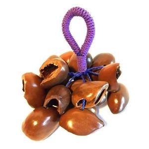 Products: Rain Shaker African Drumming NZ