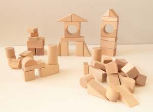 Play Learn: 55pc Beechwood Building Blocks