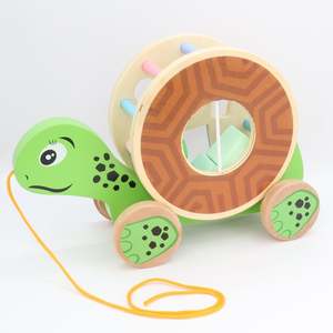 Turtle Pull Along Toy