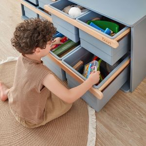 Boori Tidy Toy Cabinet