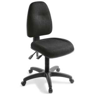 EDEN Spectrum 2 Chair 500 Seat
