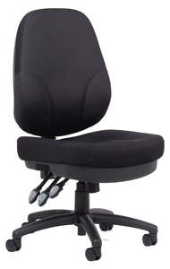 Ergonomic Chairs: Plymouth Express Chair