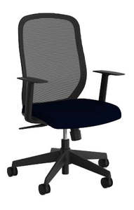 Ergonomic Chairs: Flex Mesh Chair