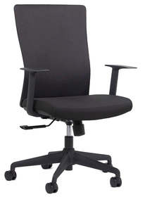 Ergonomic Chairs: Blade Fabric Chair