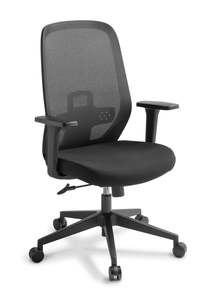 Memo Mesh Back Chair