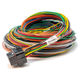 LOOM B (400mm) - WIREIN ECU