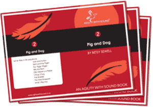 Products: Level 2 senior book selection with comprehension booklets - Agility With Sound