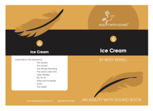 Products: Book 6-18 'Ice Cream' - Agility With Sound