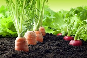 Products: WastewaterPro - Agritek