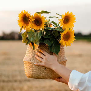 Lift-Me-Up Essential Oil Blend