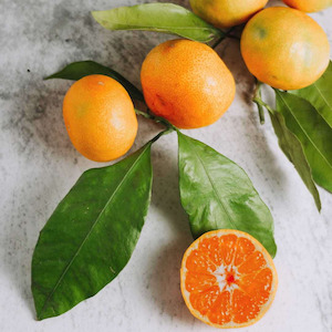Mandarin Essential Oil