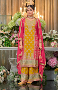 Multi Colored Heeramandi Pakistani Garara