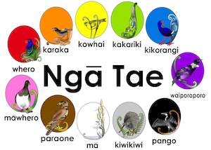 Resource Library Content Packs: Colours Content Pack 1