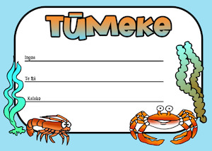 Resource Library Certificates: Certificate - Tūmeke Style 6