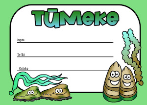 Resource Library Certificates: Certificate - Tūmeke Style 5