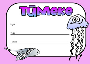 Resource Library Certificates: Certificate - Tūmeke Style 4
