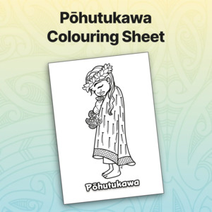 Ece Colouring Sheets: Pōhutukawa Colouring Sheet