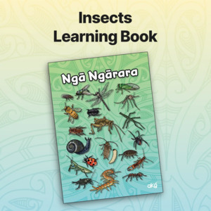 Printable Learning Booklets: - Insects Learning Booklet