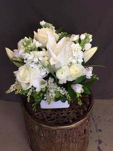 Products: Snow Flake Arrangement - Albany Florist