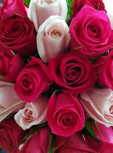 Products: Love Blossoms Bouquet - Albany Florist