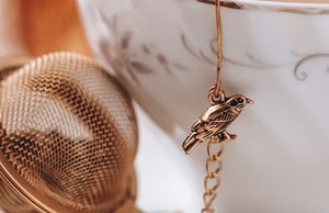 Category: Cycle Balance