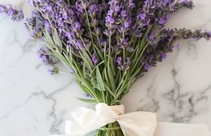 Elderflower, Lemon & Honey Tea (Hot Comfort Brew)