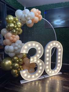 Most Popular: 1.2m Light Numbers