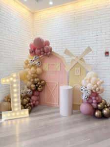 Party Packages: Barnyard Package