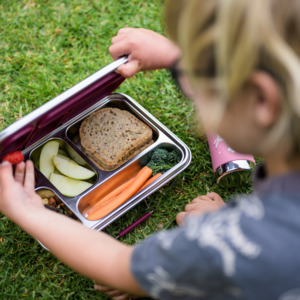 Nestling Stainless Steel Jumbo Bento Box