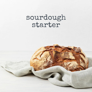 Savoury: Sourdough Starter