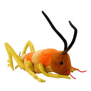 For The Kids: Moana Road Wiremu the Weta Soft Toy