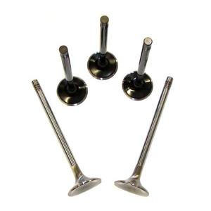 Valve Set, Oversized, 5-Valve Audi/Vw Motors