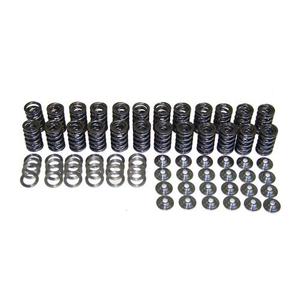 R32 Mk4: Valve Spring Set With Ti Retainers, 24v Vr6