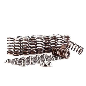 Ttrs 8j: IE Valve Spring & Retainer Kit | Fits VW & Audi 2.5L Engines