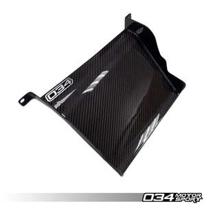 S4 B9: X34 Carbon Fiber Air Scoops for Audi B9/B9.5 A4/S4/Allroad