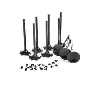 A3 8p: VW & AUDI 2.0T FSI, TSI, & 2.5L PERFORMANCE VALVES